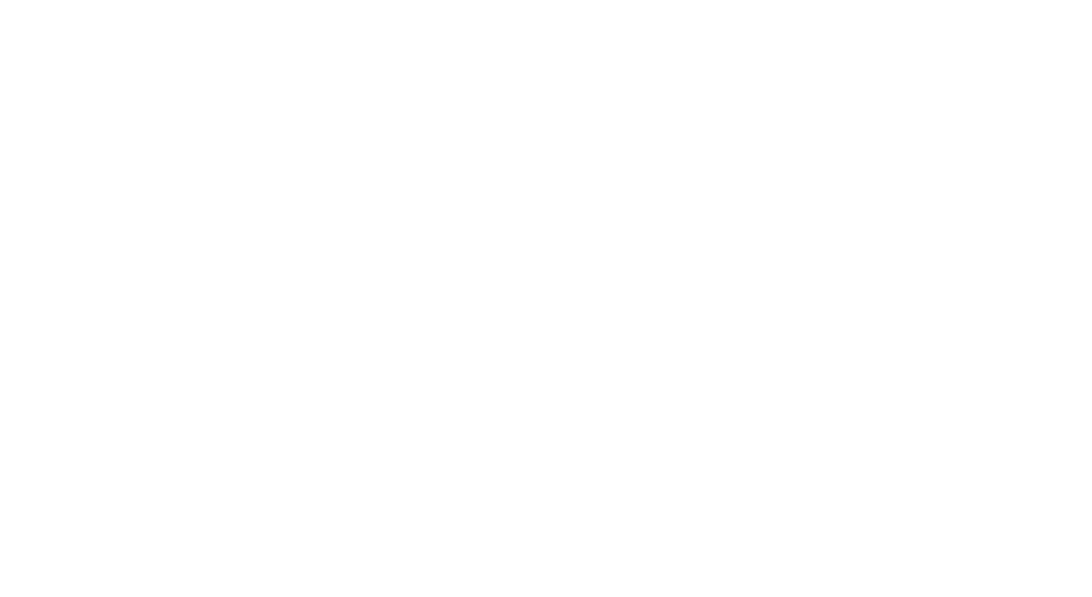 Statistiques Démographique