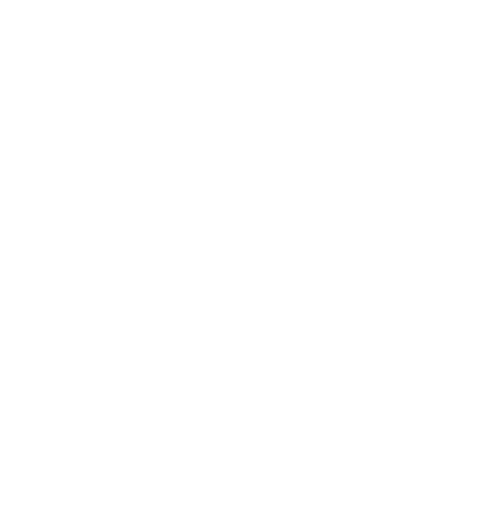 Statistiques revenus